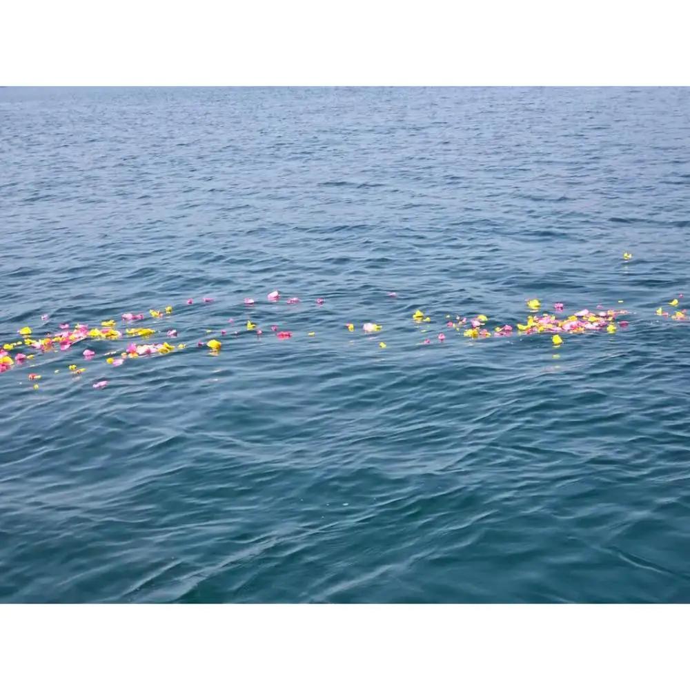 海洋散骨代行チケット 供養 セレモニー 代行 自然 海 散骨 墓じまい お見送り 呉市