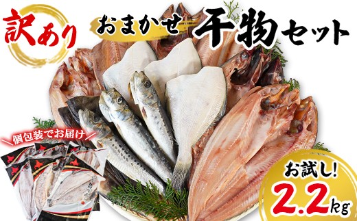 【2026年9月下旬発送】 訳あり 干物 詰め合わせセット 2.2kg 真ホッケ 縞ホッケ サバ イワシ 北海道