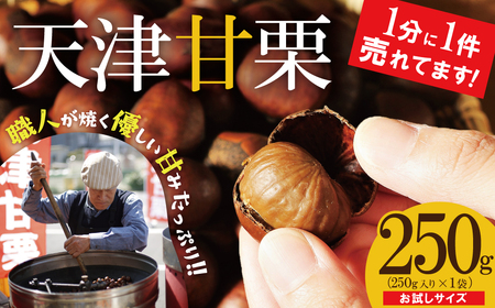 【お試し】この道50年の職人が焼く、やさしい甘みたっぷりの「天津甘栗」250g！ 焼きたて 栗 くり 栗爪 殻付き お菓子 おつまみ 人気 高リピート 小分け 栗ご飯 栗きんとん 甘露煮 H045-0