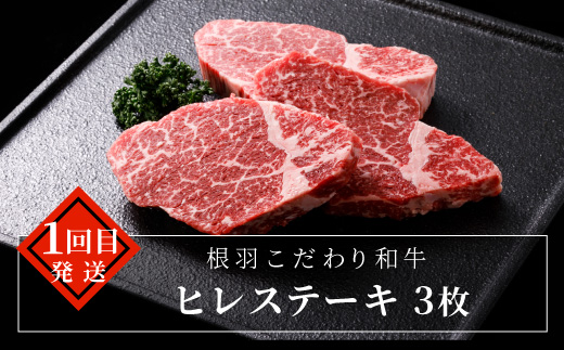 毎年大人気！【全7回 定期便】国産黒毛和牛 定期便限定 赤身ステーキ入り ステーキ尽くし ステーキ定期便！