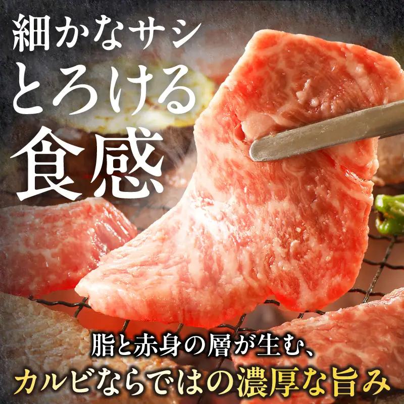 牛肉 カルビ焼肉 牛肉[宮崎牛 1kg]