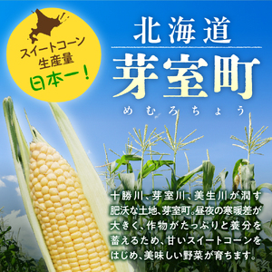 【2024年分先行予約】北海道十勝芽室町 とうもろこし スイートコーン20本 イエロー種 me002-014-24c