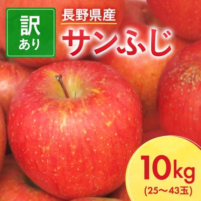 長野県産 サンふじ りんご 家庭用 訳あり 10kg(25～43玉)【1449710】