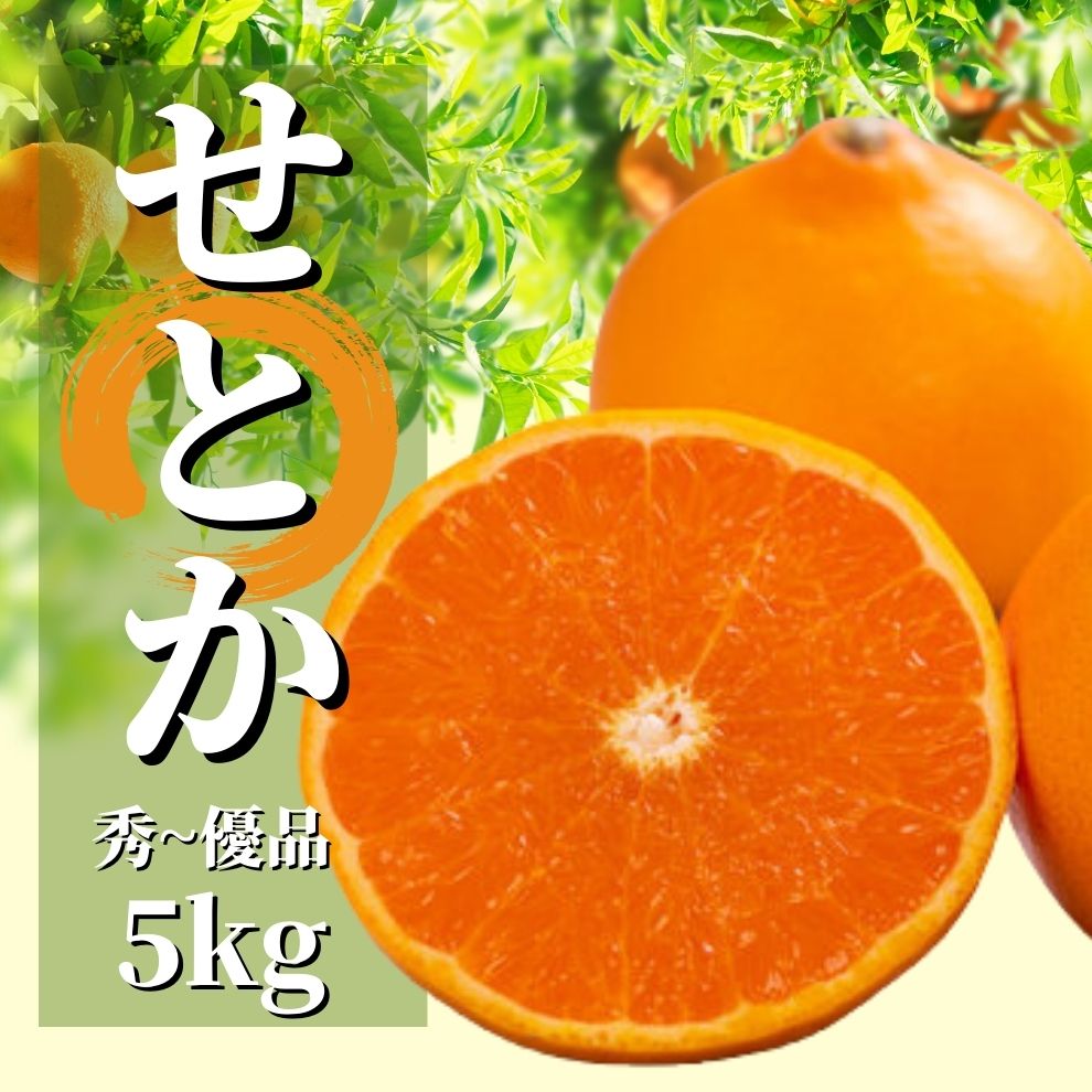 【ふるさと納税】愛媛 せとか 秀~優品 約5kg ＜2026年2月から3月頃発送＞ | みかん 先行予約 柑橘 果物 くだもの フルーツ お楽しみ お取り寄せ グルメ 期間限定 数量限定 人気 おすすめ ギフト 愛媛県 松山市