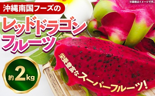 
                  【2026年発送】南国フーズのドラゴンフルーツ 【レッドドラゴンフルーツ】 約2kg - 赤 果肉 レッド ピタヤ スーパーフルーツ 先行受付 先行予約 人気 抗酸化作用 ベタシアニン おすすめ 国産 沖縄県 八重瀬町
                
