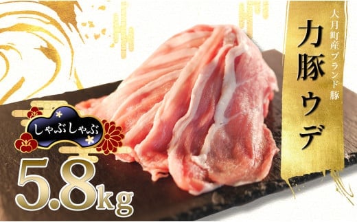 国産 豚肉 ウデ肉5.8kg (200g×29P)｜力豚 小分け 使いやすい ブランド豚 脂 うで肉 真空パック 冷凍 ポーク 家族ごはん 炒め物 生姜焼き 豚汁 大容量 お取り寄せ 簡単調理 ご当地 配達日指定可 おすすめ 人気 土佐 高知県 大月町