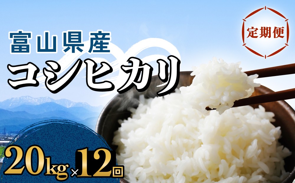 
                  【12回定期便】富山県産 コシヒカリ 20kg 富山県 氷見市 米 コシヒカリ 定期便
                