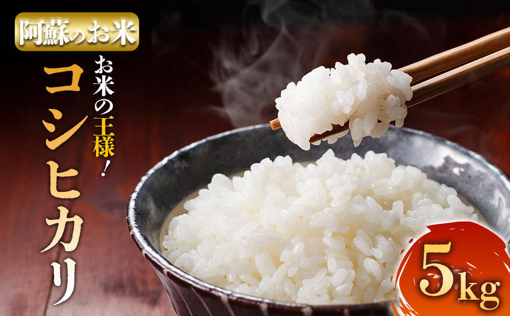 【選べる回数】令和7年産 コシヒカリ 5kg プロ厳選の産地直送米 R7年産 阿蘇の美味しいお米をお届け！精米 白米 人気 美味しい 甘み 香り ツヤ おすすめ ごはん 熊本県 阿蘇市