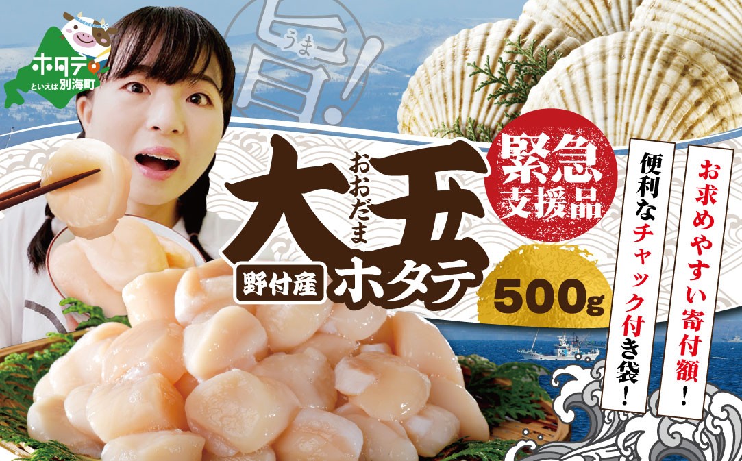 
                  大人気！北海道 野付産 大玉 ホタテ 500g 約15玉前後 ( ほたて 帆立 冷凍 刺身 不揃い 天然 生食  特大  緊急支援 訳あり 野付 別海町 ふるさとチョイス ふるさと納税 ランキング キャンペーン やり方 限度額 シミュレーション )
                