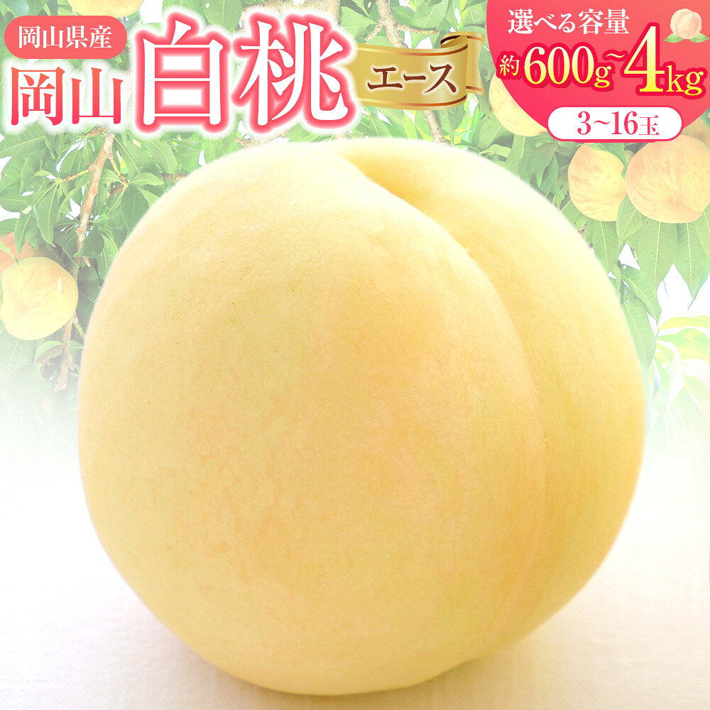 【ふるさと納税】【内容量が選べる】岡山県産 桃 岡山白桃 エース 約600g～4kg 2026年産 | モモ momo 白桃 詰め合わせ おかやま 岡山県 岡山市 フルーツ お取り寄せ 国産 送料無料 おすすめ 人気 フルーツ