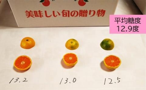 B-632 毎年大人気！【先行予約】平倉果樹園のひとくちみかん 約5.5kg×2箱（合計約11kg）｜鹿島産 小玉みかん（5cm前後）｜贈答用・お取り寄せ ギフト｜温州みかん「ゆら」｜九州 佐賀県 鹿
