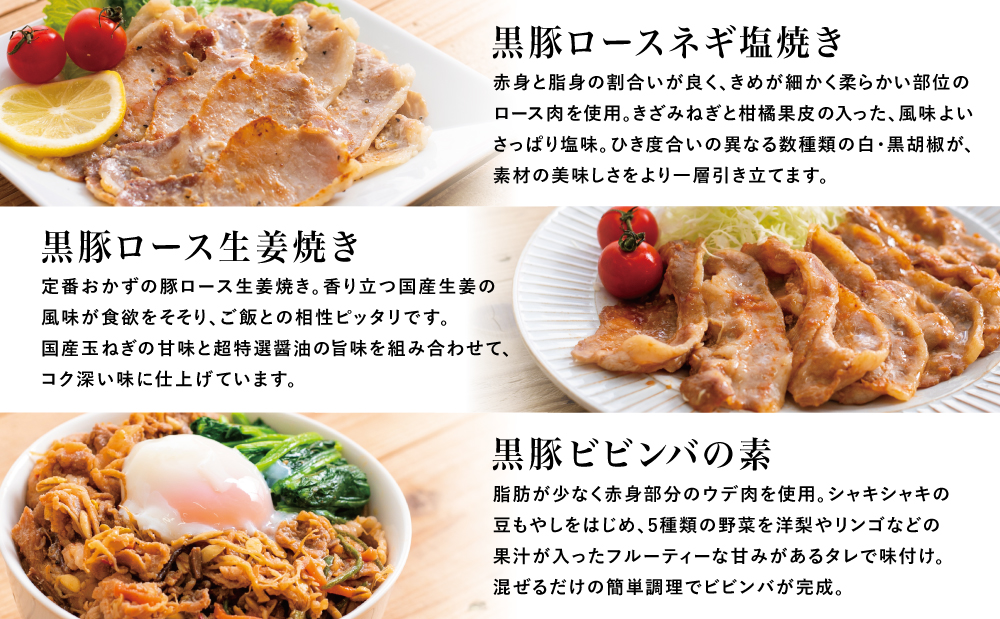 鹿児島県産 味付け 黒豚 セット 3種類 計1kg（ネギ塩、生姜焼き、ビビンバ） 焼肉 総菜 おかず 簡単調理 お弁当 味付き ネギ塩 生姜焼き ビビンバ 小分け 冷凍 国産 ロース  コワダヤ  南
