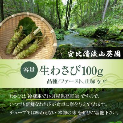 ふるさと納税 八幡平市 生わさび 100g 　AE-011-D |  | 01