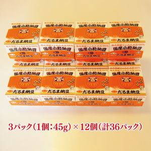 TVで紹介！あの男性アイドルが試食した納豆！！水戸 だるま納豆国産小粒３P（１２個入り）【なっとう 茨城県産 こつぶ 3パック セット 大容量 水戸市 茨城県】（AS-2）