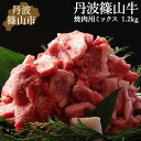 【ふるさと納税】訳あり 丹波篠山牛 神戸牛 肉 焼肉 訳アリ 切り身 1.2kg ( 600g × 2パック )