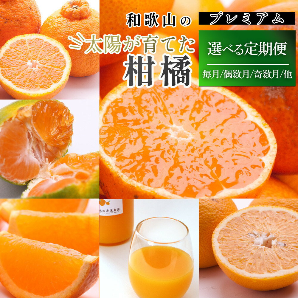 【ふるさと納税】【選べる回数・容量】厳選 柑橘定期便 | フルーツ 果物食品 人気 おすすめ 送料無料