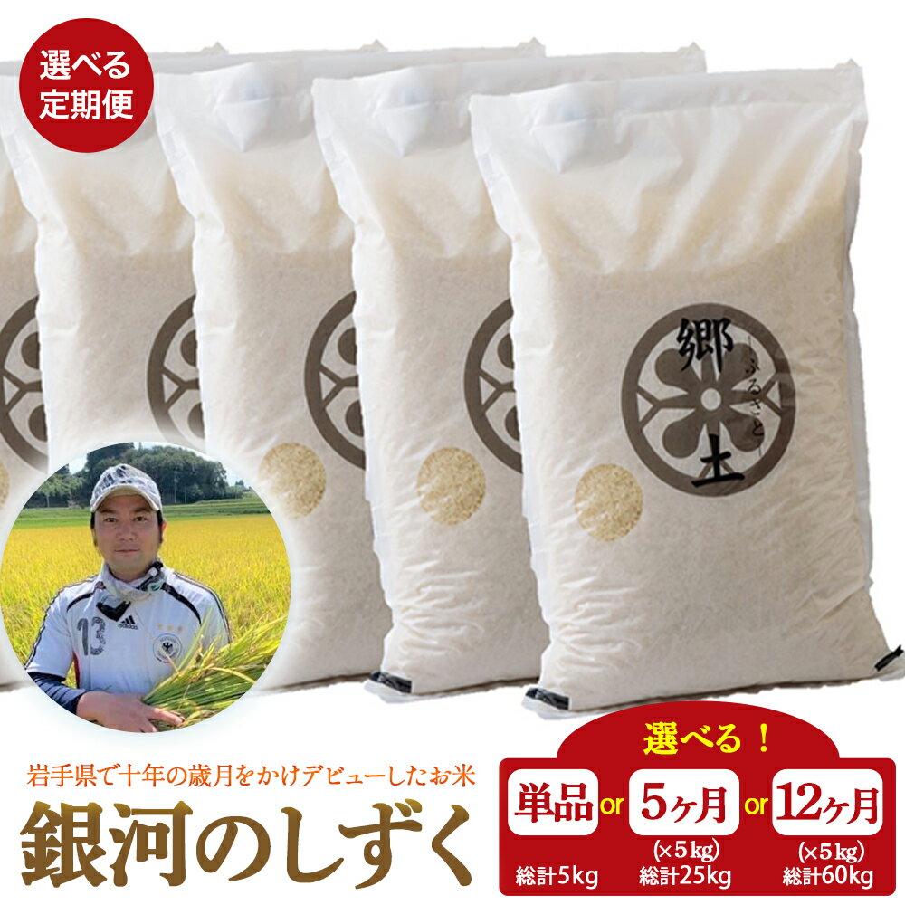 【ふるさと納税】銀河のしずく 5kg 単品 定期便 ( 5か月 又は 12か月 ) R7産 400年続く農家が育てた菅野家のお米 岩手県 北上市 白米 減農薬 菅野俊 ごはん お米 おにぎり 米 国産 岩手 オリジナル 品種 R8年産 予約受付中
