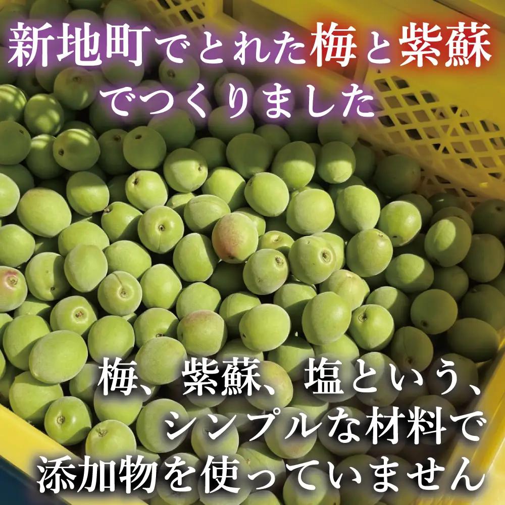 昔ながらの梅干し 200g×2パック 無添加 梅干し | 田舎の梅干し すっぱい 訳あり 梅干 うめぼし 保存料無添加 着色料無添加 福島県 新地町 送料無料 すっぱい 熱中症対策 お試し お取り寄せ