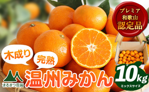 【先行予約】木成り完熟 温州 みかん ミックスサイズ 約 10kg まるまつ農園《2026年12月上旬-2027年1月末頃出荷》 和歌山県 日高川町 温州みかん みかん 完熟