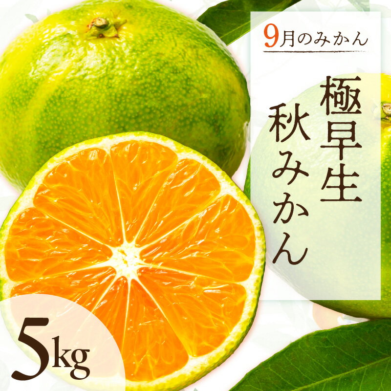 【ふるさと納税】9月の御浜柑橘 秋みかん(極早生みかん) 5kg【御浜町でとれた秋みかんをお届け！】