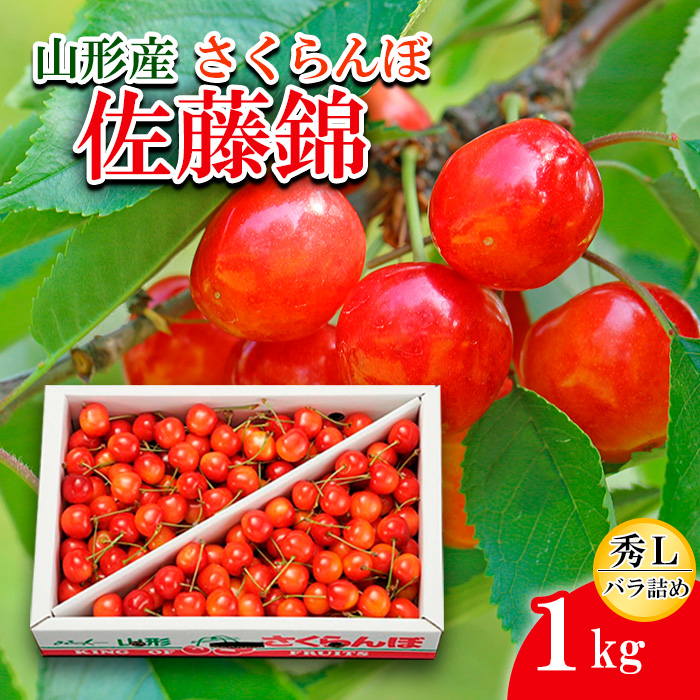 さくらんぼ 佐藤錦 Ｌ1kg バラ詰め 【令和7年産先行予約】FS2