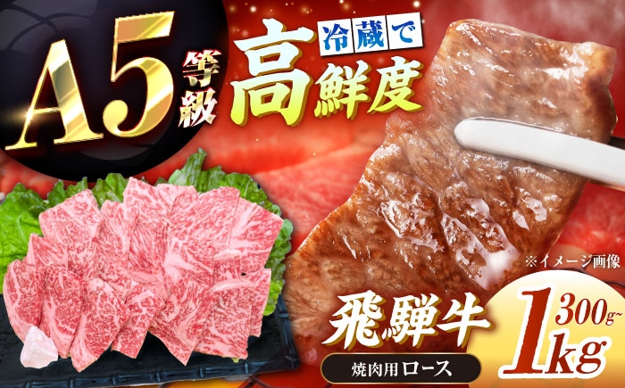 
                  【選べる容量】【チルド（冷蔵）発送！】 牛肉 「飛騨牛」 A5等級 ロース 300g～1kg / 肉 お肉 にく牛肉 飛騨牛 和牛 国産和牛 ブランド牛 お取り寄せ 価格 ステーキ 焼肉 贈答用 ギフト プレゼント 高級 焼肉 鉄板焼き 網焼き BBQ バーベキュー / 恵那市 / 東美濃農業協同組合 [AUFX007]
                