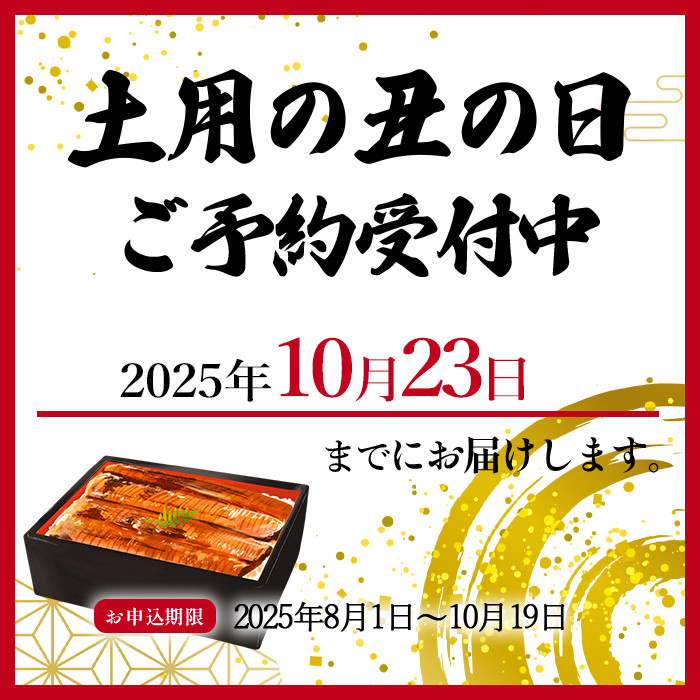 大型サイズ　ふっくら柔らか　国産うなぎ蒲焼き　2尾　化粧箱入［夏土用の丑の日のうなぎ］［7月19日までにお届け］［UT05］　XF91091-GFT_イメージ2