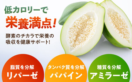 【栄養満点スーパーフード】青パパイヤ 約1kg（1-2個） 広川町 / 古賀萬壽果園[AFBK001]