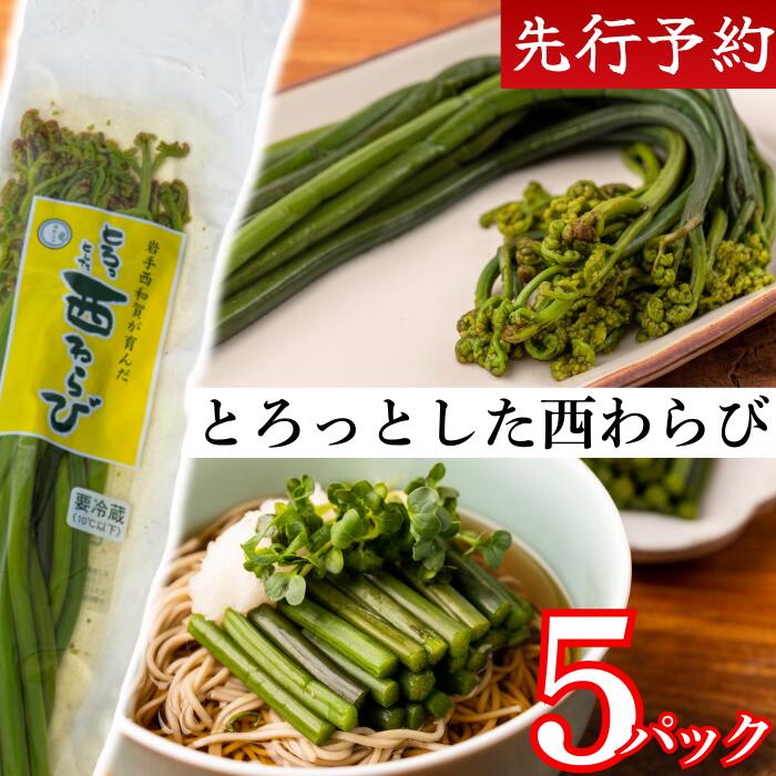 【ふるさと納税】＜先行予約＞「とろっとした西わらび」水煮　5パック　岩手県　西和賀町　にしわが　ワラビ　蕨