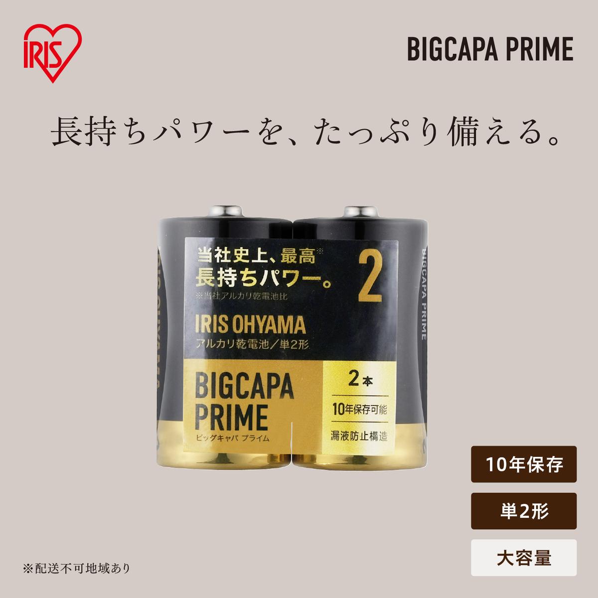 アルカリ乾電池 単2形  24本（2本パック×12個セット） BIGCAPA PRIME LR14BP/2P×12