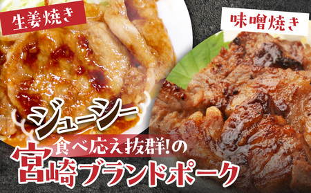 宮崎ブランドポーク2種セット　生姜焼き・味噌焼きセット　計10パック（1パック100g以上）