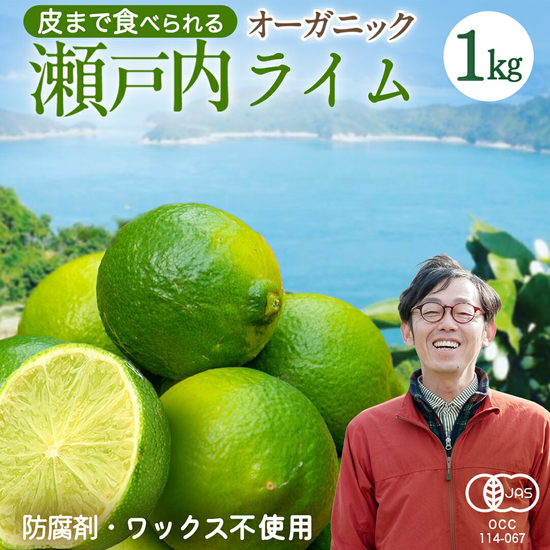 【ふるさと納税】オーガニック ライム 1kg【2026年9月以降発送】 国産 柑橘 果物 くだもの フルーツ 有機栽培 産地直送 中原観光農園 広島県 大崎上島町 瀬戸内 離島 [9月～10月発送予定]
