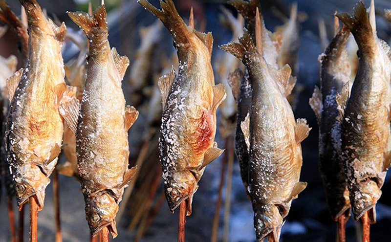 遊漁年券A2あゆ　竿釣（コロガケ、ルアー、餌、毛鉤釣りのみ）（但し魚沼漁業協同組合の範囲内に限ります）