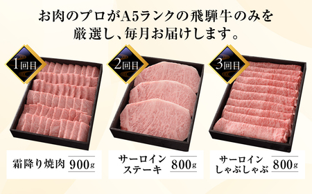 【定期便 6回】高級 飛騨牛食べ比べ 定期便 6カ月 毎月 【冷蔵配送】 定期 贈答 ギフト 牛肉 焼き肉 牛 下呂 焼肉 ブランド牛 下呂魚介【39-A】