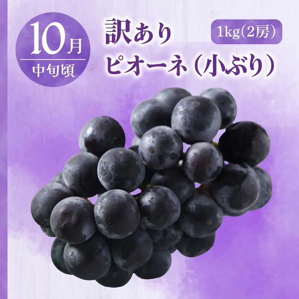 【2026年7月発送開始】 フルーツ定期便【3回】（訳ありセット）緑肉メロン、りんご、ピオーネ | フルーツ定期便