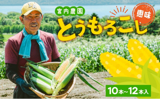 
北海道産 とうもろこし 恵味 めぐみ 2L 10～12本 朝採り 恵み トウモロコシ 玉蜀黍 とうきび 大きめ スイートコーン 甘い 旬 夏 新鮮 もぎたて 朝採れ 産地直送
