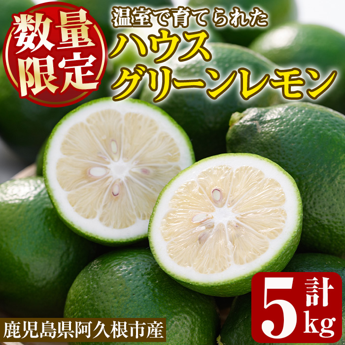 数量限定！ハウスマイヤーグリーンレモン(5kg) 国産 檸檬 果実 果物 フルーツ 柑橘 デザート お菓子作り 期間限定 数量限定【桐野柑橘株式会社】akn070-18