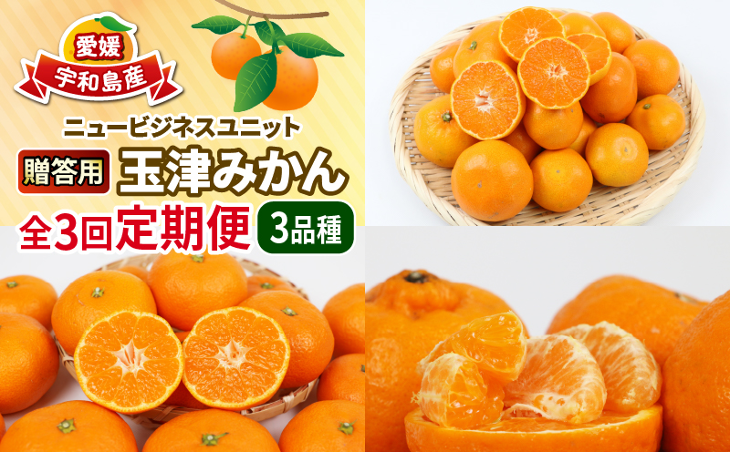 柑橘 定期便 3回 贈答用 優品 早生温州 南柑20号 各10kg ポンカン 9kg S~L サイズ ミックス 玉津みかん ニュービジネスユニット 先行予約 早生 温州みかん 果物 フルーツ 柑橘 蜜柑 みかん 農家直送 産地直送 数量限定 国産 愛媛 宇和島 B050-058007