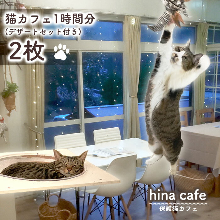 【ふるさと納税】No.204 デザートセットチケット2枚 ／ hinacafe 猫カフェ スイーツ ドリンク 保護猫 遊び 触れ合い 写真撮影 まったり 癒し 送料無料 山口県
