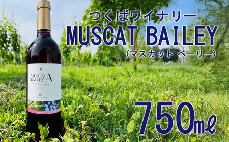 2021つくばワイナリー MUSCAT BAILEY A  │ ワイン ワイン ワイン ワイン ワイン