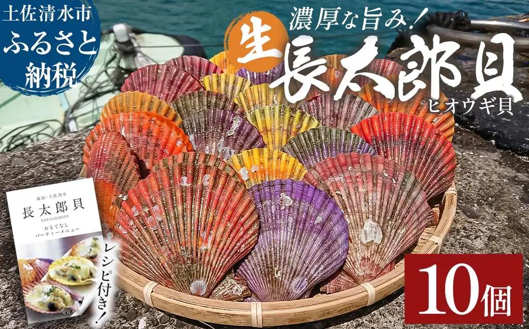 【9月発送】ヒオウギ貝10個セット（ホタテの仲間）アウトドア キャンプ 海鮮BBQ 魚貝 生 貝殻付 活 貝柱 酒蒸し バーベキュー【R00082】