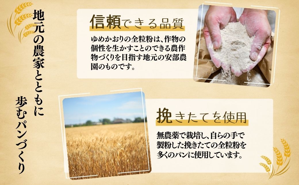 ＜3ヵ月定期便＞茨城県産小麦粉「ゆめかおり」を使用した こだわりのパン詰め合せ9種 全3回 | 茨城県 龍ケ崎市 食パン メロンパン カレーパン ベーグル コッペパン あんぱん クロワッサン 発酵バタ