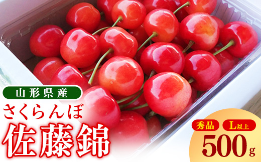 《先行予約》 令和9年産 山形県産 さくらんぼ 佐藤錦 500g Lサイズ以上 秀品 【2027年6月上旬頃から下旬頃発送予定】 ※ 配送不可 沖縄・離島　015-A-OT007 500g