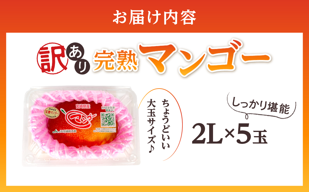 【訳あり】完熟マンゴー 2L×5玉（パック）【濃厚 高級 宮崎 果物 フルーツ 贈答 ギフト 甘い 先行受付 送料無料】【JA綾町】_A0114-1081