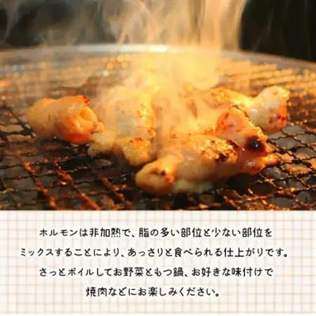 鹿児島県産黒毛和牛ホルモンミックス2パック【配送不可地域：離島】【1185869】