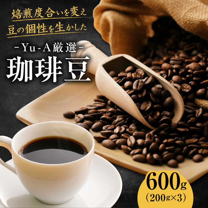 【ふるさと納税】コーヒー 珈琲豆 600g（200g×3） ブレンド ロースト 焙煎 コーヒー こーひー ドリップ プレス オリジナル 珈琲 豆挽 人気 3種類 詰め合わせ 飲み比べ セット 本格的 こだわり 喫茶店 カフェ おうちカフェ リラックス ギフト 岐阜市 / 珈琲 Yu-A[ANDR001]