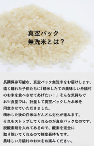 米 コシヒカリ 無洗米 300g × 3袋