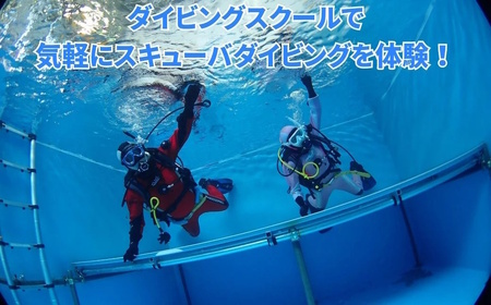 ペアでダイビング体験 3時間 2名様 ダイビング専用プール スキューバダイビング 千葉 スクーバダイビング 体験ダイビング アクティビティ PADIダイビングスクール おすすめ ペア 体験チケット 初