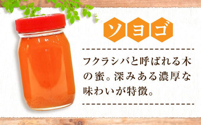 国産 純粋 蜂蜜 贈答 ギフト 特産品 産地直送 取り寄せ お取り寄せ 送料無料 広島 三次