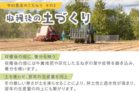 【予約：2024年9月下旬から順次発送】北見市産 たまねぎとじゃがいもセット 約15kg ( 野菜 玉ねぎ 玉葱 芋 北海道 セット ふるさと納税 )【002-0006-2024】